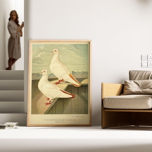 Stampa poster piccioni/Poster di uccelli/Stampe di animali/Stampe murali/Arte su tela/Arte da parete vintage/Poster da parete/Stampe d'arte incorniciate