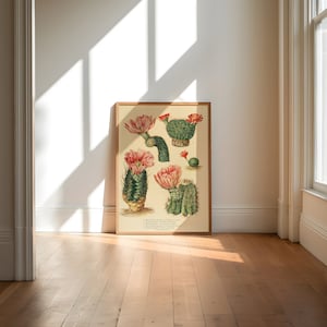 Kaktus Wandbild | Botanische Wandkunst| Kunst Leinwand| Poster Vintage| Blumenkunst| Küche Wandkunst| Wandposter| Gerahmte Kunstdrucke