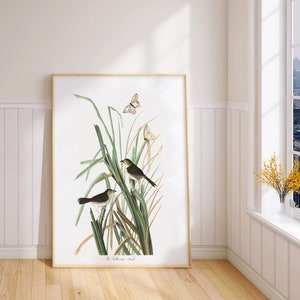 Impresiones de arte de aves vintage / Póster de aves / Impresión enmarcada / Arte de aves / Lienzo de arte / Arte de pared de aves / Decoración de aves para pared / Arte moderno / Impresiones de arte de aves