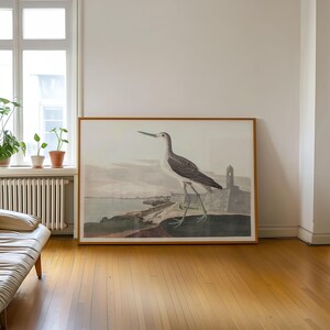 Greenshank Bird Art Print: Coastal Wall Decor, Framed or Canvas image 4