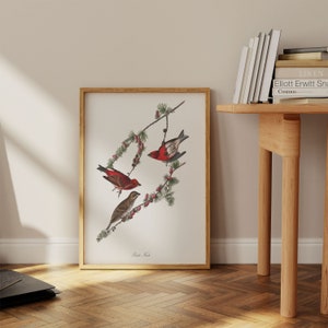 Stampe d'arte di uccelli vintage/Poster di uccelli/Stampa incorniciata/Arte di uccelli/Poster di fringuelli/Arte da parete di uccelli/Decorazione di uccelli per parete/Arte moderna/Stampe d'arte di uccelli