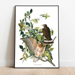 Stampe d'arte di uccelli vintage/Poster di uccelli/Stampa incorniciata/Arte di uccelli/Tela d'arte/Arte da parete di uccelli/Decorazione di uccelli per parete/Arte moderna/Stampe d'arte di uccelli