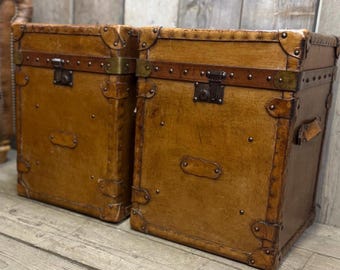 Tanned leather trunks