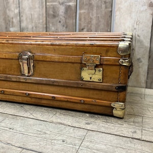 Luxury Leather Brass & Camphor Wood Travel Trunk