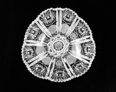 American Brilliant Cut Glass Thick, Deep 9 quot Serving Bowl, circa 1880 39 s, ABP-bowl 16