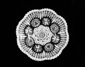 American Brilliant Cut Glass Thick, Deep 8 quot Serving Bowl, circa 1880 39 s, ABP-bowl 4