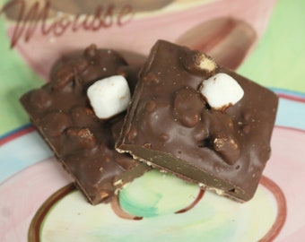 Chocolate Bark Bites - Got Smores?