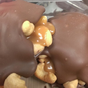 Jumbo Cashew Turtle