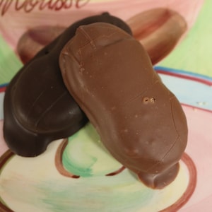 Chocolate Covered Nutter Butter Cookies