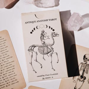 Antique Anatomy Tarot - 2nd Ed.