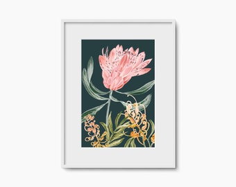 Botanical, Australian Flowers, Pink Protea Print, Flower Art Print Gift, Native Protea Wall Art, Botanical Flower Print, Giclée Art Print