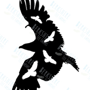 Hawk Sticker