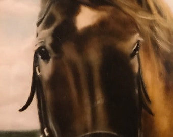 Hand-painted animal portrait of a horse in oil on linen canvas, 40:50 cm