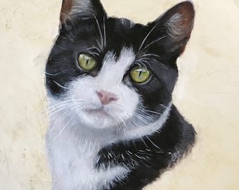 Black and white cat Eddie, hand-painted portrait from photo, can be ordered in oil on tambourine, 20 cm