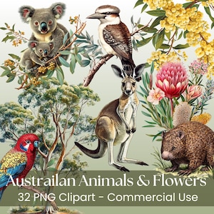 Puede incluir: Ilustración digital con animales y flores australianos. La imagen incluye un koala con un bebé, un kookaburra, un canguro, un wombat y un loro colorido. Se muestra el texto "Australian Animals & Flowers" y "32 PNG Clipart - Commercial Use".