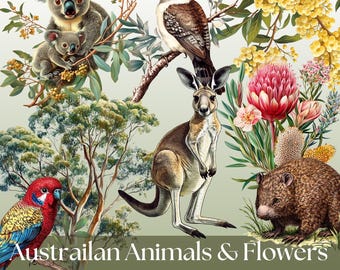 Australian Animal Clipart, Cute Flower Graphics, Watercolor PNG for DIY Projects, Instant Download Art, Scrapbooking and Junk Journals