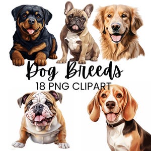 Imágenes prediseñadas de razas de perros, paquete de imágenes prediseñadas de razas de perros, cachorro de perro, paquete de imágenes PNG de perros, ilustración de retrato de mascotas, uso comercial, álbum de recortes