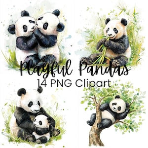 Clipart ours panda, bébé panda aquarelle mignon, PNG numérique, scrapbooking, usage commercial, oeuvre d'art imprimable, journal indésirable, pandas mangeant du bambou