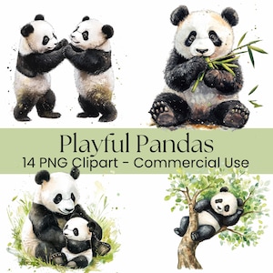 Panda Bear Clipart, Cute Watercolor Baby Panda, Digital PNG, Scrapbooking, Commercial Use, Printable Art, Junk Journal, Pandas Eating Bamboo