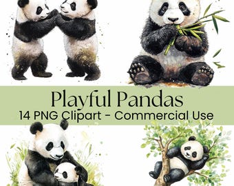 Panda Bear Clipart, Cute Watercolor Baby Panda, Digital PNG, Scrapbooking, Commercial Use, Printable Art, Junk Journal, Pandas Eating Bamboo