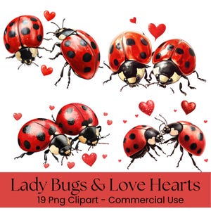 Ladybug Clipart, Valentine Hearts PNG, Cute Bug Love Clipart, Watercolor Insects Digital Download, Romantic Scrapbook Stickers
