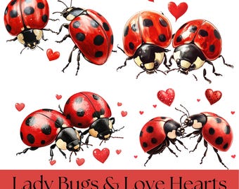 Imágenes prediseñadas de mariquita, corazones de San Valentín PNG, imágenes prediseñadas de insectos adorables, descarga digital de insectos de acuarela, pegatinas románticas para álbumes de recortes