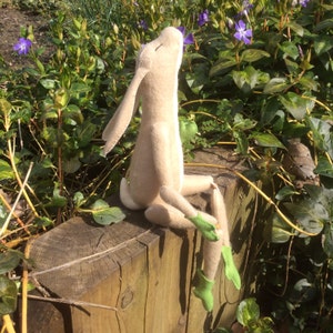 Moon-Gazing Hare Hauntie