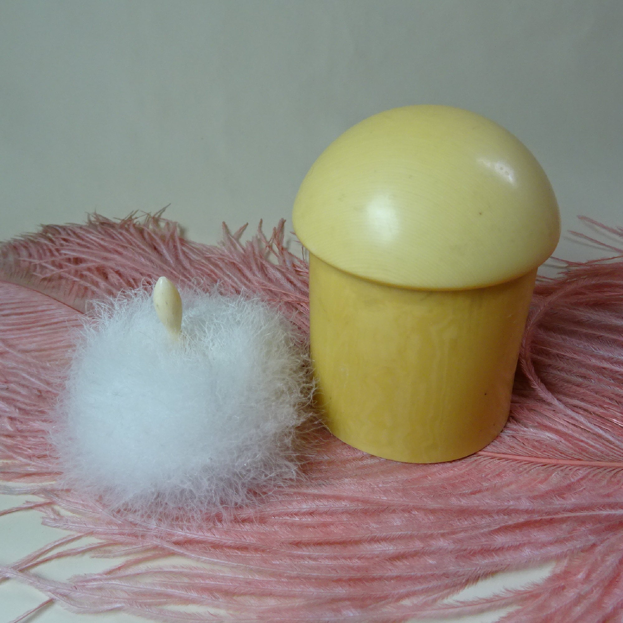 Vintage Art Deco 1920s/20s 1930s/30s Ivorine Face POWDER POT  display picture 3