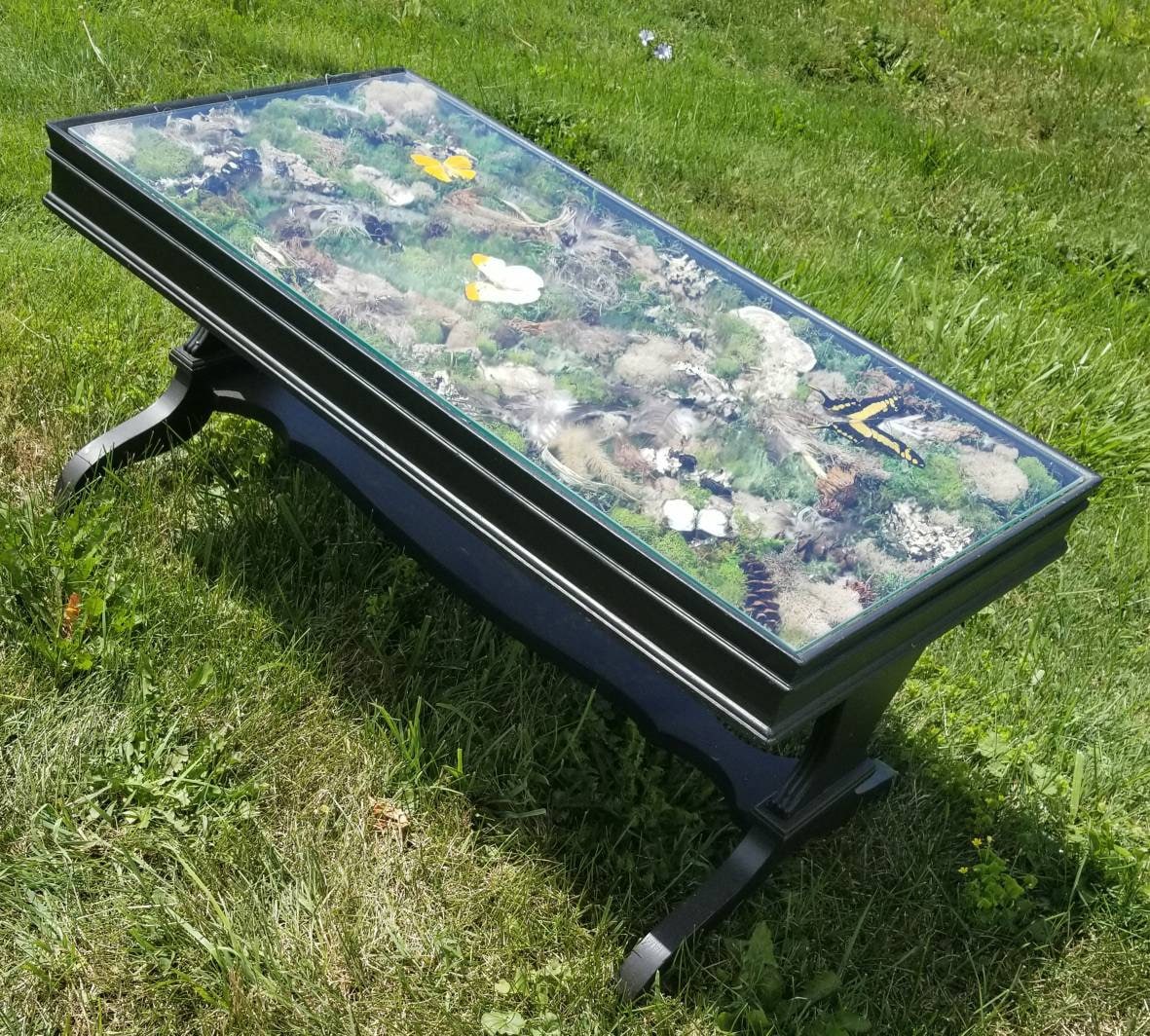 Custom made coffee table black green sustainable table solid wood living room table moss table butterflies glass top coffee table minimalist