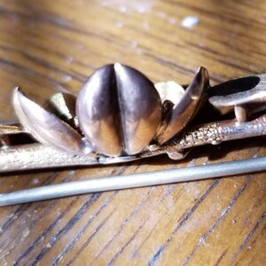 May include: A gold-toned brooch with a floral design. The brooch features a central flower with five petals and two smaller leaves on either side. The brooch is attached to a pin.