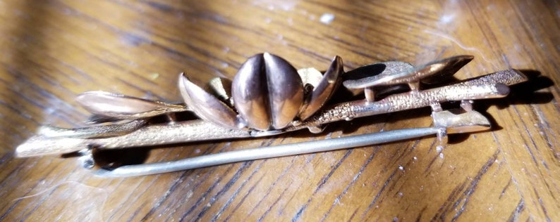 May include: A gold-toned brooch with a floral design. The brooch features a central flower with five petals and two smaller leaves on either side. The brooch is attached to a pin.
