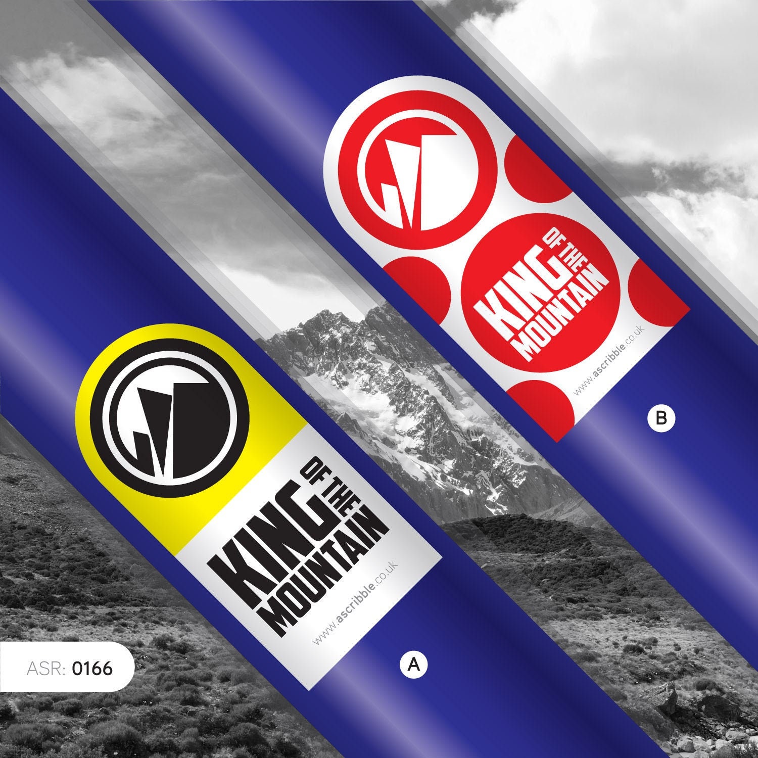 KING of the MOUNTAIN Bike Top Tube or Stem Sticker 0166 Etsy