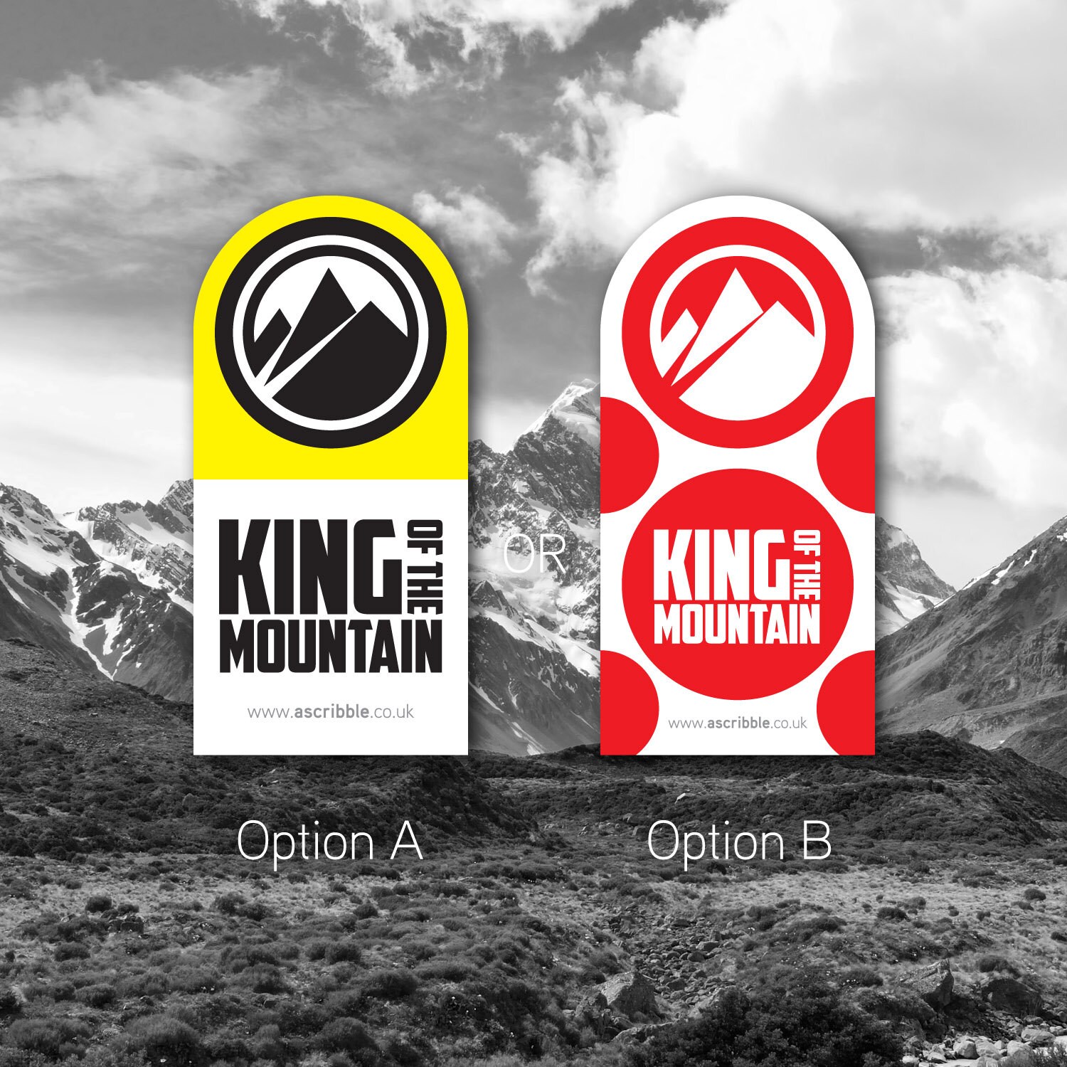 KING of the MOUNTAIN Bike Top Tube or Stem Sticker 0166 Etsy