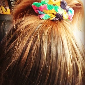 Peut inclure: Un chouchou en crochet en forme de fleur color&eacute; dans des tons de rose, vert, jaune et violet. Le chouchou est nou&eacute; autour d'une queue de cheval de cheveux bruns.