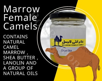 Luxor "Marrow Female Camels For Silky Smooth Hair With Shea Butter And Natural Oils (1 Pack = 6.35 oz) 'Directly from the land of Pharaohs'"