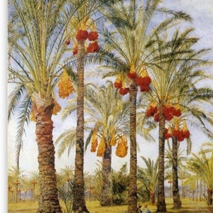 Luxor Date Tamar تمر حلالEid al Adah Attar Oil Custom Traditional Gifts Ramadan & Eid EgyptSpecialty Use Laylat al-Qadr in Luxor Egypt image 6