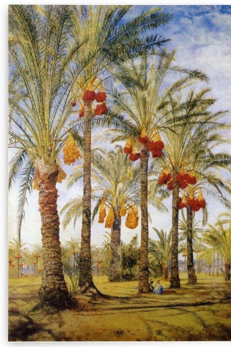 Luxor Date Tamar تمر حلالEid al Adah Attar Oil Custom Traditional Gifts Ramadan & Eid EgyptSpecialty Use Laylat al-Qadr in Luxor Egypt image 6