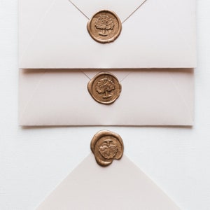 Carta de amor personalizada sellada con cera en papel pergamino, regalo de San Valentín para novios, regalo de aniversario y votos matrimoniales. imagen 4