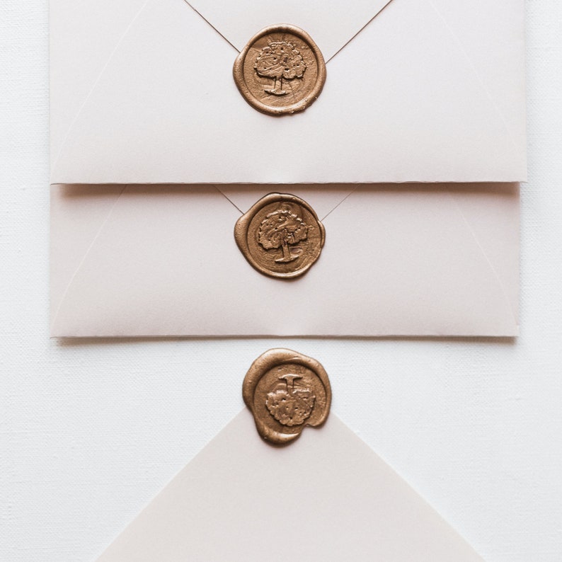 Carta de amor personalizada sellada con cera en papel pergamino, regalo de San Valentín para novios, regalo de aniversario y votos matrimoniales. imagen 4