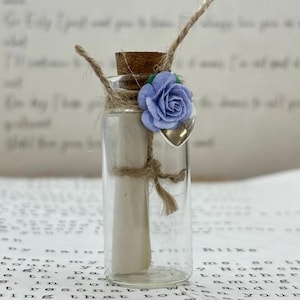 Mensajecito en una botella. Miniaturas. Regalo personalizado. Tarjeta de felicitación especial. Minimensaje, nota en una botella, carta, nota de amor, minipoema.
