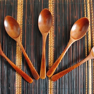 Japanese lacquer wooden Spoon 7.4"(19cm) set of 5 Japanese traditional craft Soop Curry brown hs-081