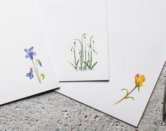 Set di carta da lettere e buste floreali miste - 30 fogli e 15 buste - Regalo per giardiniere - Progettato da CottageRts