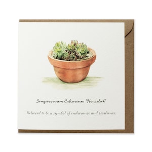 big pot outdoor plants Tuscany Planter Large main image 1