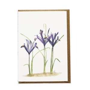 Purple Harmony Iris Flower - Botanical Greeting Card Watercolour Painting Hand Designed By CottageRts