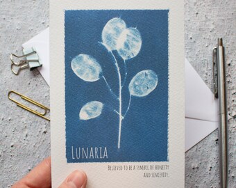 May include: A blue and white greeting card with a cyanotype image of a lunaria plant. The text on the card reads "LUNARIA Believed to be a symbol of honesty and sincerity."