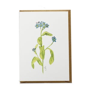 Forget-Me-Not Flower - Botanical Greeting Card Watercolour Painting Hand Designed By CottageRts