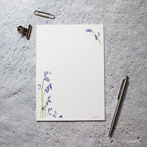 Pode incluir: Papel de carta branco em branco com um design de flores de campanula azul &agrave; esquerda e &agrave; direita. O papel &eacute; perfeito para escrever cartas ou notas.