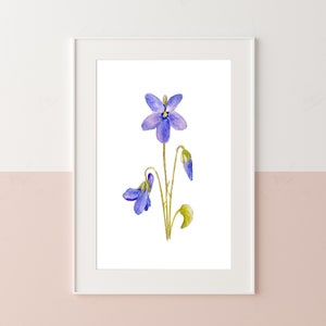 Violet Art Print -  Small Botanical Wall Art - Floral Watercolour Painting By CottageRts (Print Only No Frame Included)