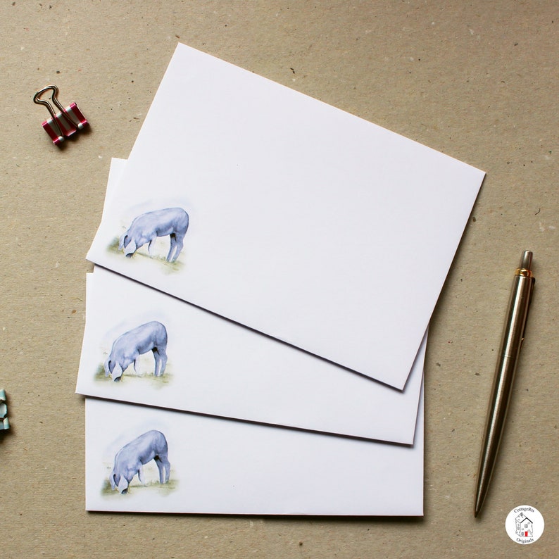 Scientific name for a pig image