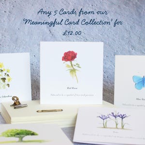 Greeting Card Bundle - Any 5 Cards Mix & Match Greeting Card Pack Designed By CottageRts